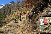 12 Stiamo salendo sul sentiero 108 per il Benigni